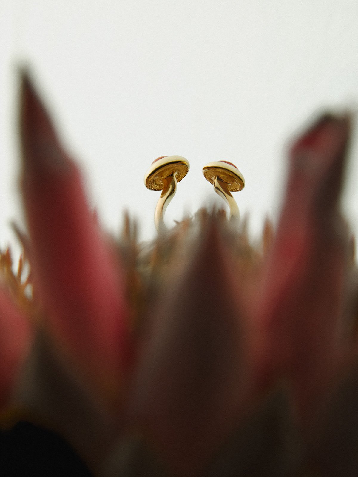 Porcini Ring Carnelian