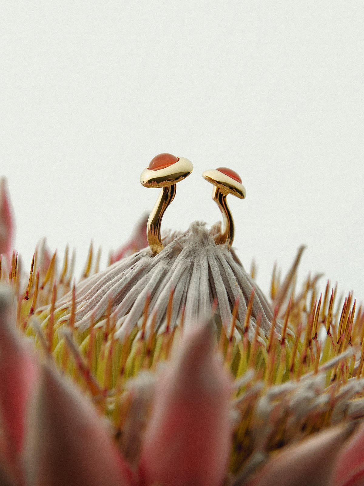 Porcini Ring Carnelian