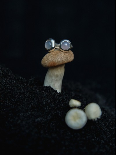 Porcini Ring Chalcedony