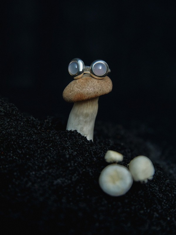 Porcini Ring Chalcedony