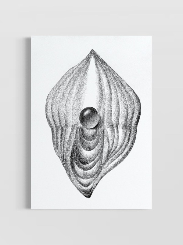 'Estudo das Formas I'