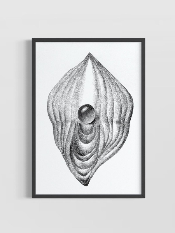 'Estudo das Formas I'