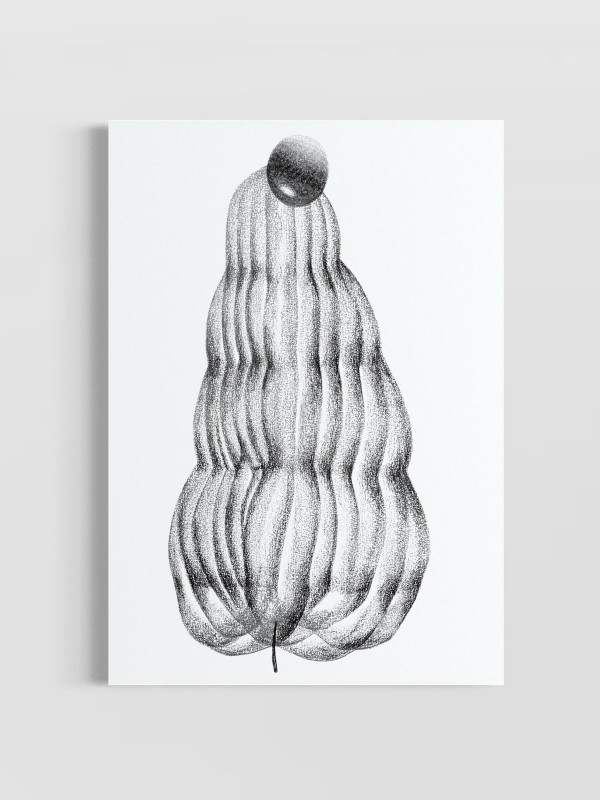 'Estudo das Formas II'