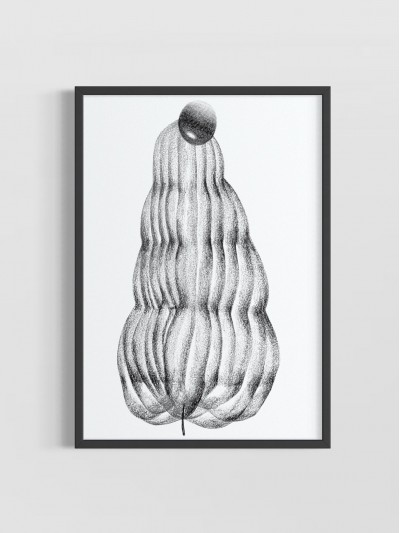 'Estudo das Formas II'