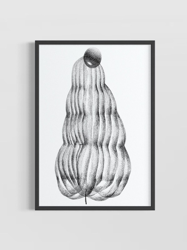 'Estudo das Formas II'