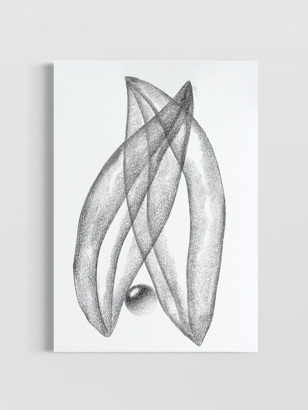 'Estudo das Formas III'