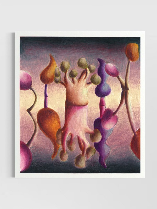 'Reflexo das Árvores'