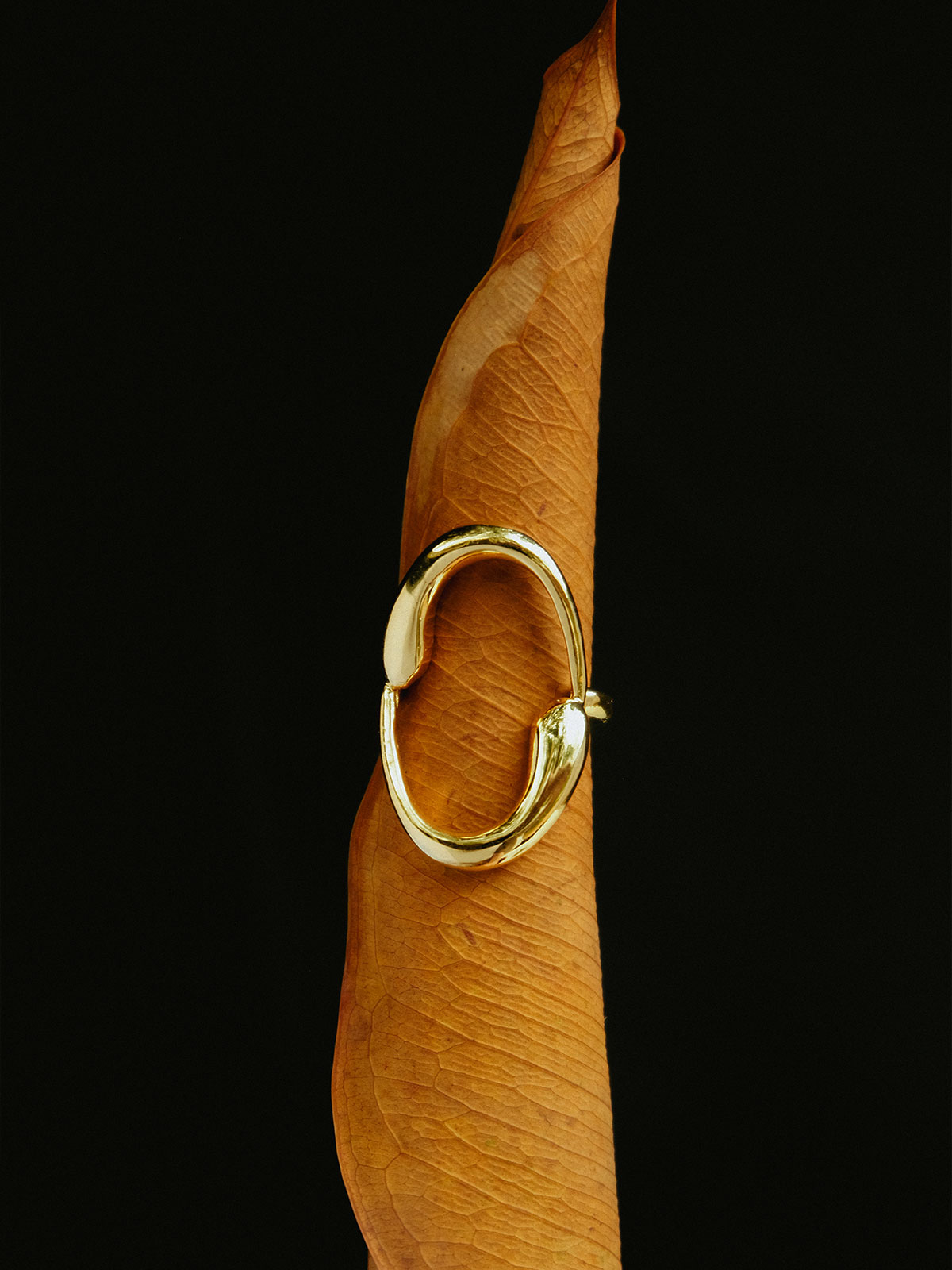 Galaxy Ring